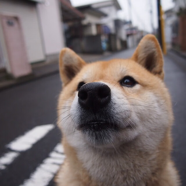 五大联赛是否正在建立多点得分结构避免单点爆破失灵,五大联赛点球